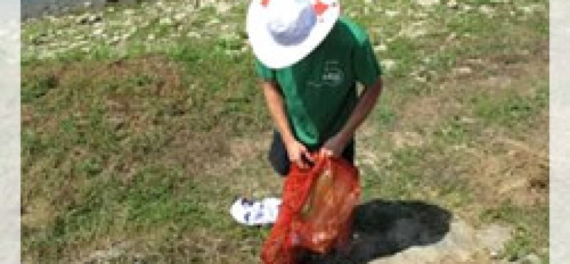 Akcija čišćenja obale Save