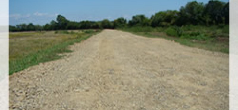 Obnova poljskih putova