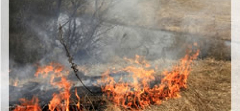 Pažnja kod spaljivanja korova