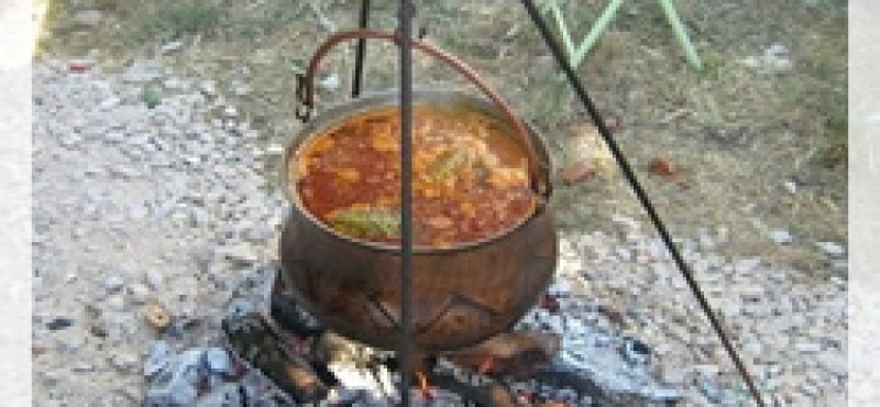 Fišijada „Vrbje 2011.“