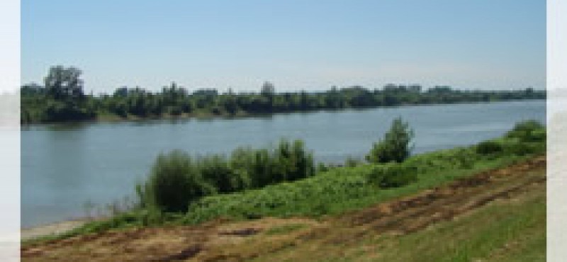 Treća memorijalna riječna regata Sisak - Dolina