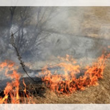 Pažnja kod spaljivanja korova