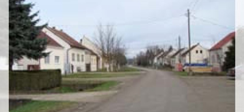 Vrbje